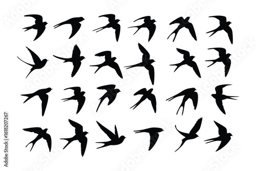 Birds in Flight Silhouette: A graphic display showcases the grace of birds soaring through the open sky, captured in elegant black silhouettes.