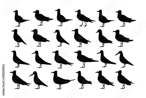 Birds Silhouette Pattern: A captivating silhouette pattern featuring a multitude of birds, elegantly arranged, their forms a study in graphic simplicity and avian grace.