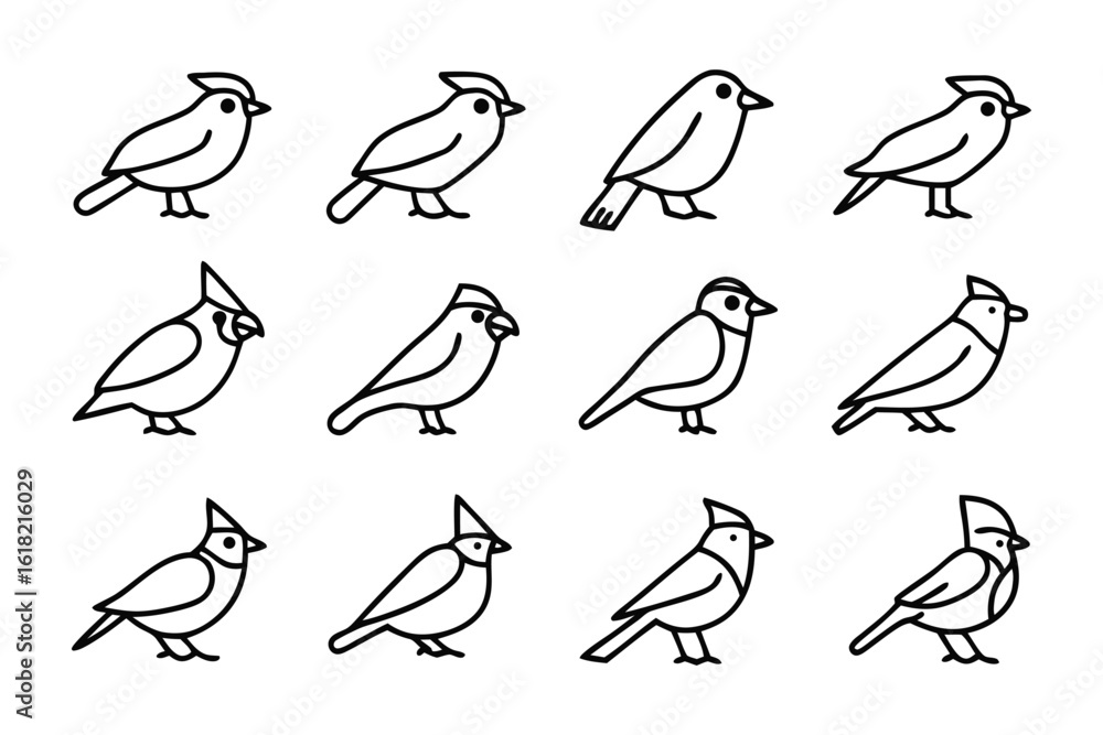 Fototapeta premium Elegant Avian Illustrations: A collection of twelve delicately rendered bird illustrations, each capturing the unique silhouette and characteristics of various avian species.