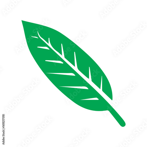 Leaf medlar colored icon