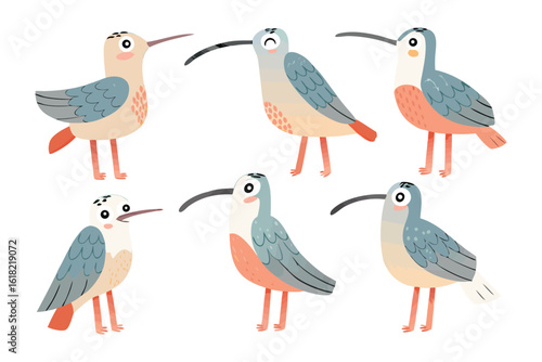 Whimsical Shorebird Collection: An endearing assortment of whimsical shorebird illustrations showcases each character's unique charm and individual personality, making them a standout illustration.