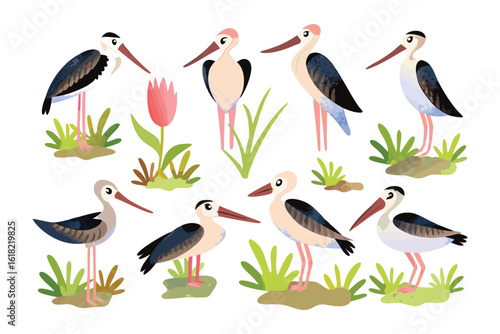 Elegant Stilts in Natural Habitat: A collection of elegant stilt birds in their natural environment, capturing their slender legs, long beaks.