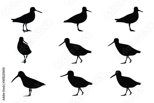 Bird Silhouettes: Collection of elegantly crafted silhouettes of various bird species, offering a versatile resource for artistic or informational use.
