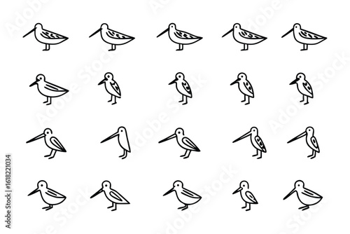 Sandpiper illustrations: A delightful collection of meticulously crafted line art illustrations featuring Sandpipers. These charming drawings capture the essence of these elegant shorebirds.