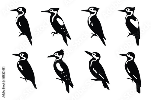 Woodpecker Collection: A collection of eight stylized woodpecker illustrations, showcasing the distinct silhouettes and intricate patterns of these fascinating birds.