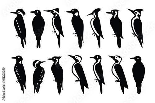 Diverse Woodpeckers Silhouettes: A collection of various woodpecker silhouettes, each displaying unique poses and plumage, offering a striking illustration of these fascinating creatures.
