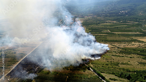 burning orchards in prespa , north macedonia,  