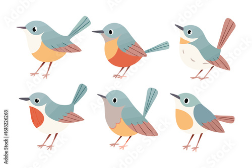 Bird Illustration Collection: A charming collection of stylized birds in various poses and colors, perfect for adding a touch of whimsy and natural beauty to any project.