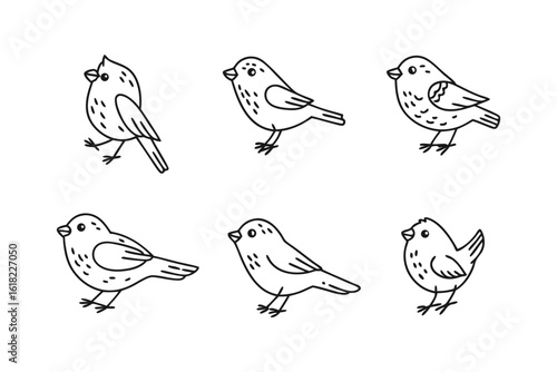Avian Assemblage: A charming line art composition, featuring six delightful birds in various poses, creating a cohesive illustrative arrangement.