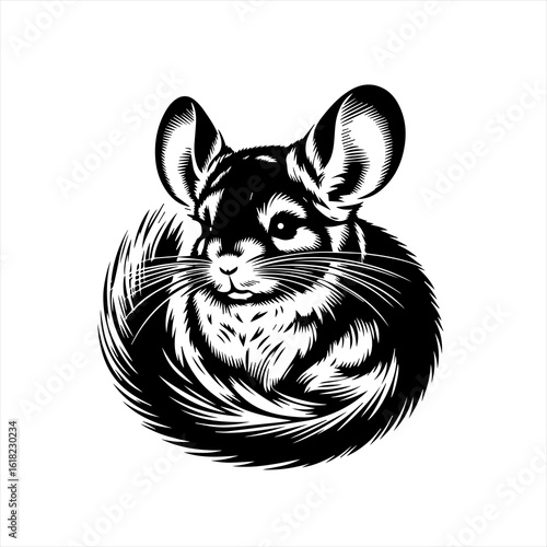 Cute Chinchilla Pet Animal Black and White Illustration.