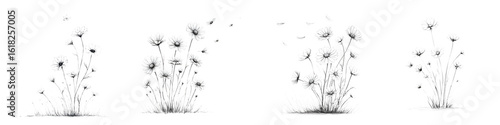 Dandelion Seed Heads Watercolor Graphic Set