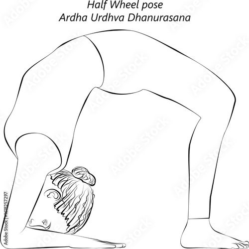 Sketch of young woman practicing Ardha Urdhva Dhanurasana yoga pose. Half Wheel yoga pose. Isolated vector illustration.