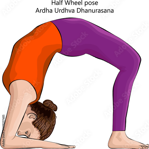 Young woman practicing Ardha Urdhva Dhanurasana yoga pose. Half Wheel yoga pose. Isolated vector illustration.
