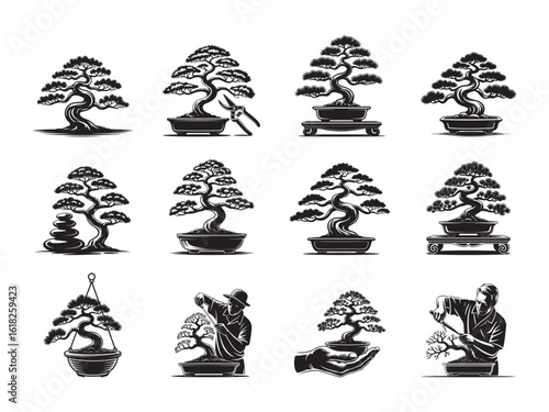 Diverse collection features various styled bonsai trees with different presentations on a white background