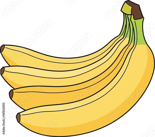 Stock image of ripe yellow bananas bunch vector illustration healthy fruit nutrition diet