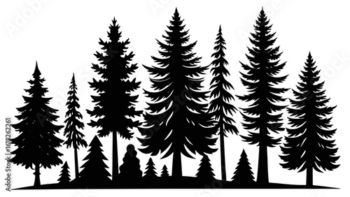 Vector art of a dense silhouette of various pine trees isolated on a white background