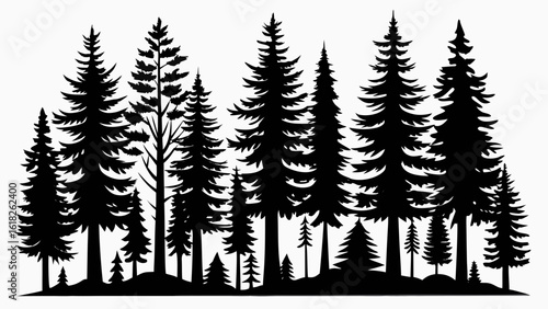 Vector art of a dense forest silhouette of various pine and evergreen trees isolated on a white background
