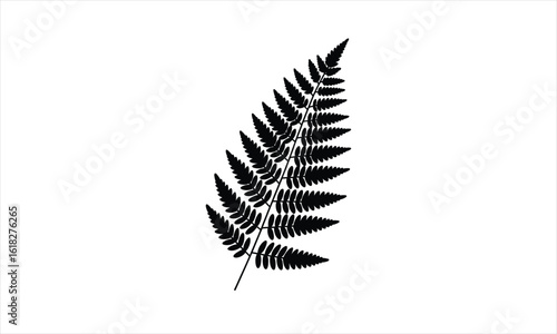 Elegant fern frond outline silhouette design