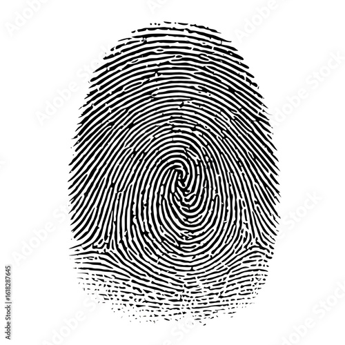 A highly detailed black and white fingerprint illustration, a powerful symbol of human identity, biometric security, forensics, and individual uniqueness.
