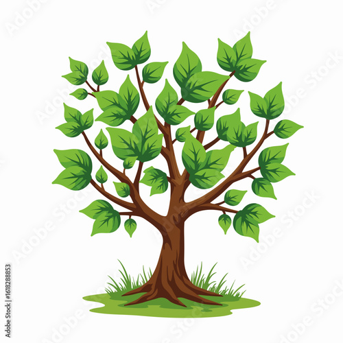 Pruned ivy shrub with neatly clipped stems showcased against white backdrop. Pruned ivy shrub featuring healthy green leaves and trimmed branches offers clean aesthetic.