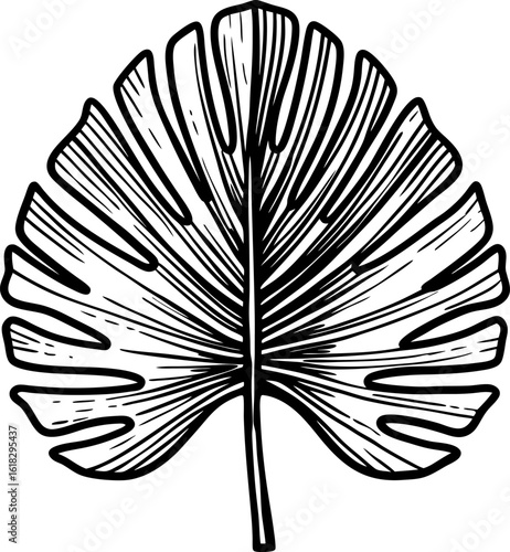 Hand drawn tropical palm leaf illustration monochrome botanical design, natural foliage, detailed line art