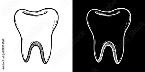 Tooth illustration, pencil drawing, isolated vector image, two design variants on transparent and black background, chalk drawing