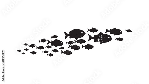 School of fish swimming together in ocean water
