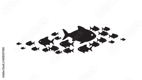 School of fish, one large fish leading the group