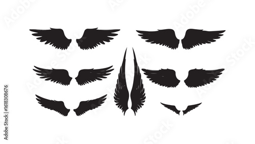 Wings silhouette collection isolated on white background