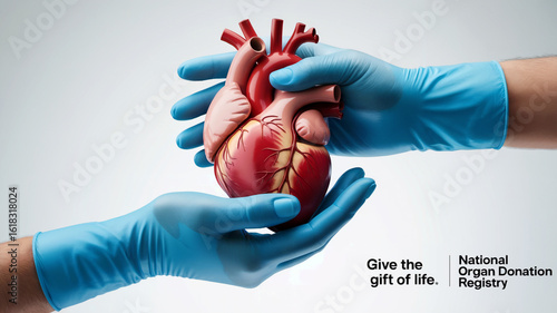 Organ Donation Awareness Concept
