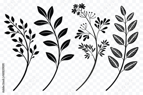 Elegant black and white plant vectors with delicate leaves and stems for botanical designs and artistic compositions