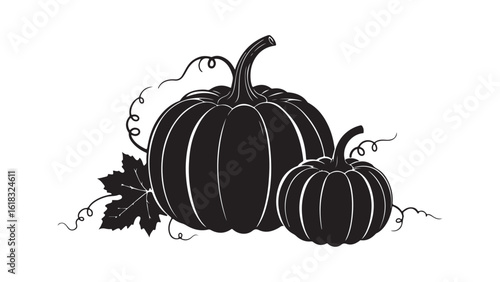 Pumpkins autumn harvest still life silhouette fall season