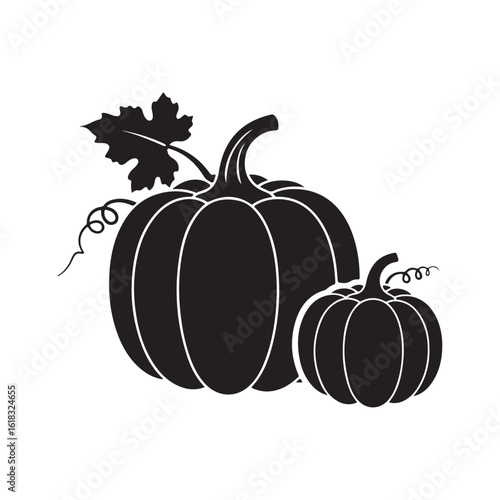 Pumpkins autumn harvest still life simple black and white