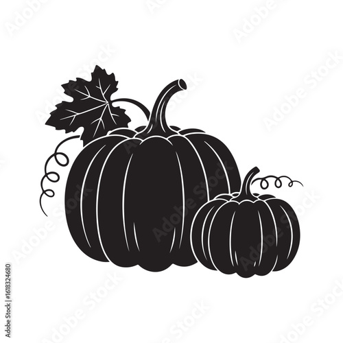 Pumpkins autumn harvest still life simple black and white
