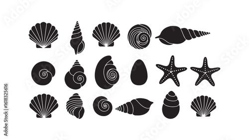 Seashells and starfish collection, marine life icons