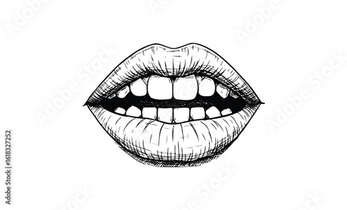 Hand-drawn black and white illustration of human lips and teeth in detail. Vector retro hand drawn illustration