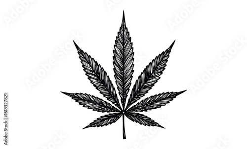 Intricately designed black cannabis leaf illustration on white background. Vector retro hand drawn illustration
