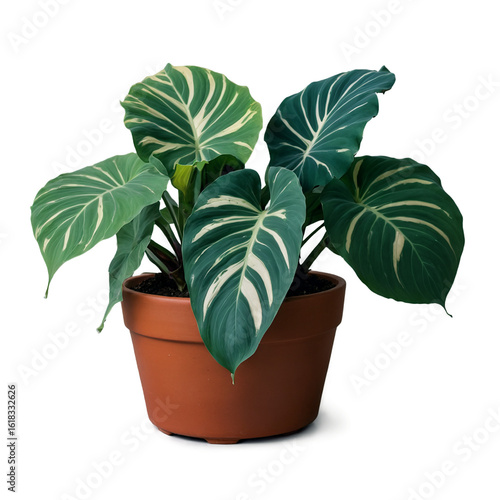 Botanical Theme Isolated PNG – Transparent Background, No Background, Perfect for Creative Artwork Design and Collage Projects 