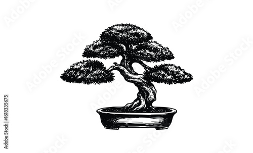 Intricate black ink bonsai tree sketch in round pot. Vector retro hand drawn illustration