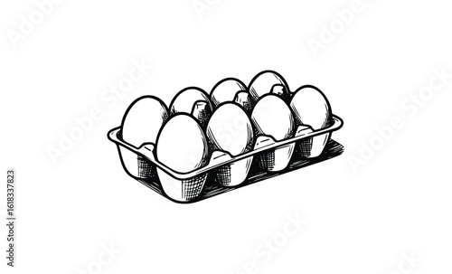 Monochrome sketch of egg carton with eight eggs in black and white. Vector retro hand drawn illustration
