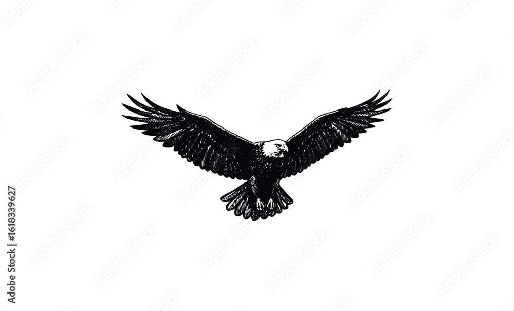 Obraz premium Monochrome illustration of eagle in flight with outstretched wings. Vector retro hand drawn illustration