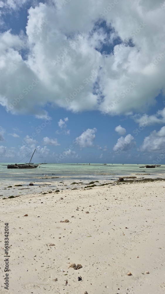 Obraz premium boat on the beach