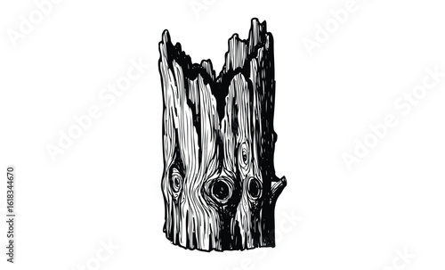 Intricate black and white tree stump illustration with detailed wood texture. Vector retro hand drawn illustration
