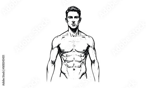 Black and white sketch of muscular young caucasian male with abs. Vector retro hand drawn illustration