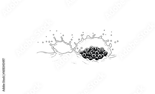 Blackberries splashing into water with dynamic ripples and droplets. Vector retro hand drawn illustration