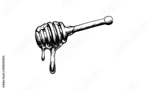 Detailed black and white illustration of a wooden honey dipper with dripping honey. Vector retro hand drawn illustration