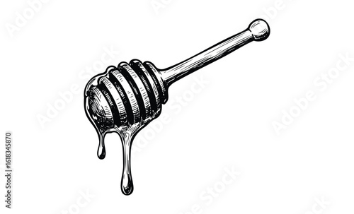 Hand-drawn honey dripper with dripping honey on white background. Vector retro hand drawn illustration