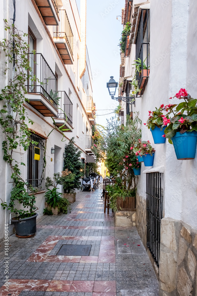 Obraz premium Marbella old town in Andalucia Spain. Streets of Marbella, Spanish typical houses, in the region of Andalucia 