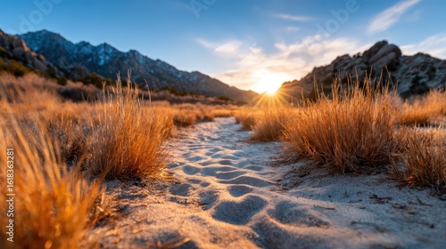 A breathtaking sunset illuminates a sandy pathway leading toward majestic mountains, radiating warmth and natural beauty, encapsulating the essence of the great outdoors.