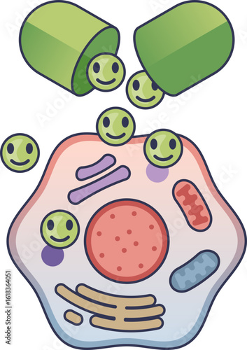An illustration of an anti-aging supplement capsule releasing beneficial molecules into a biological cell, symbolizing cellular rejuvenation, repair, and vitality for longevity.